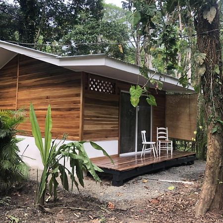 Ita Tiny House Disfruta & Trabaja En El Caribe! Daire Puerto Viejo de Talamanca Dış mekan fotoğraf